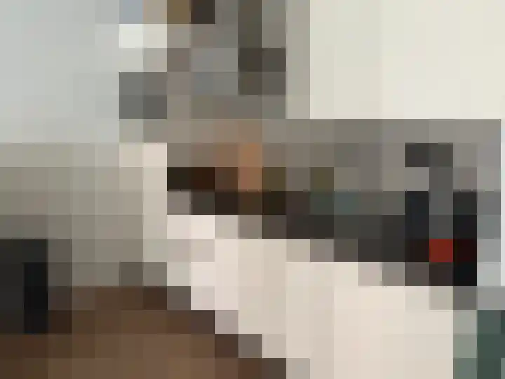 Kromme Jak 12 A Zwolle thumbnail 4