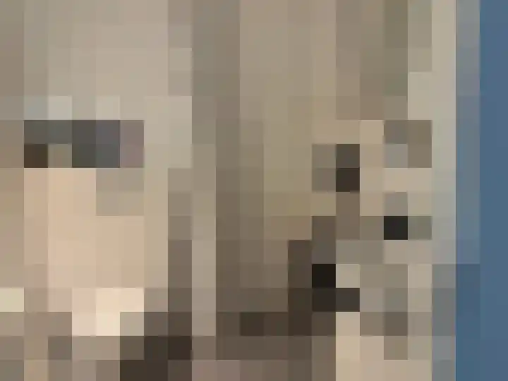 Kromme Jak 12 A Zwolle thumbnail 7