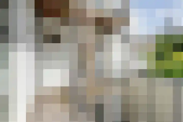 Kromme Jak 12 Zwolle thumbnail 13