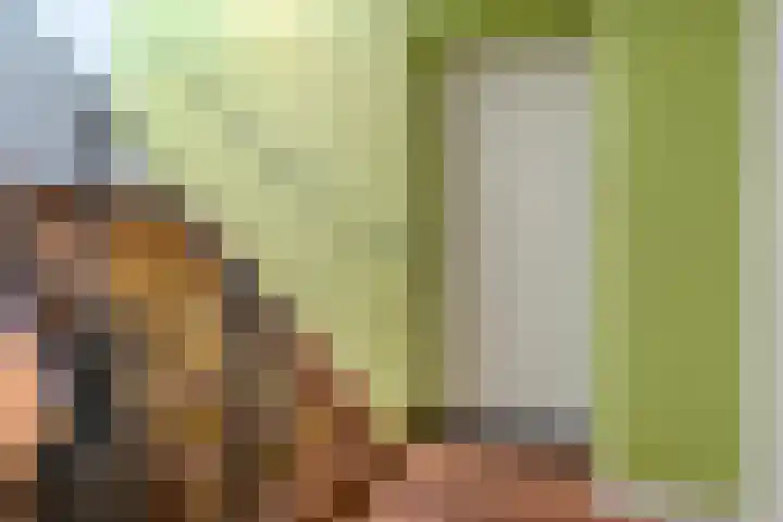 Kromme Jak 12 Zwolle thumbnail 17