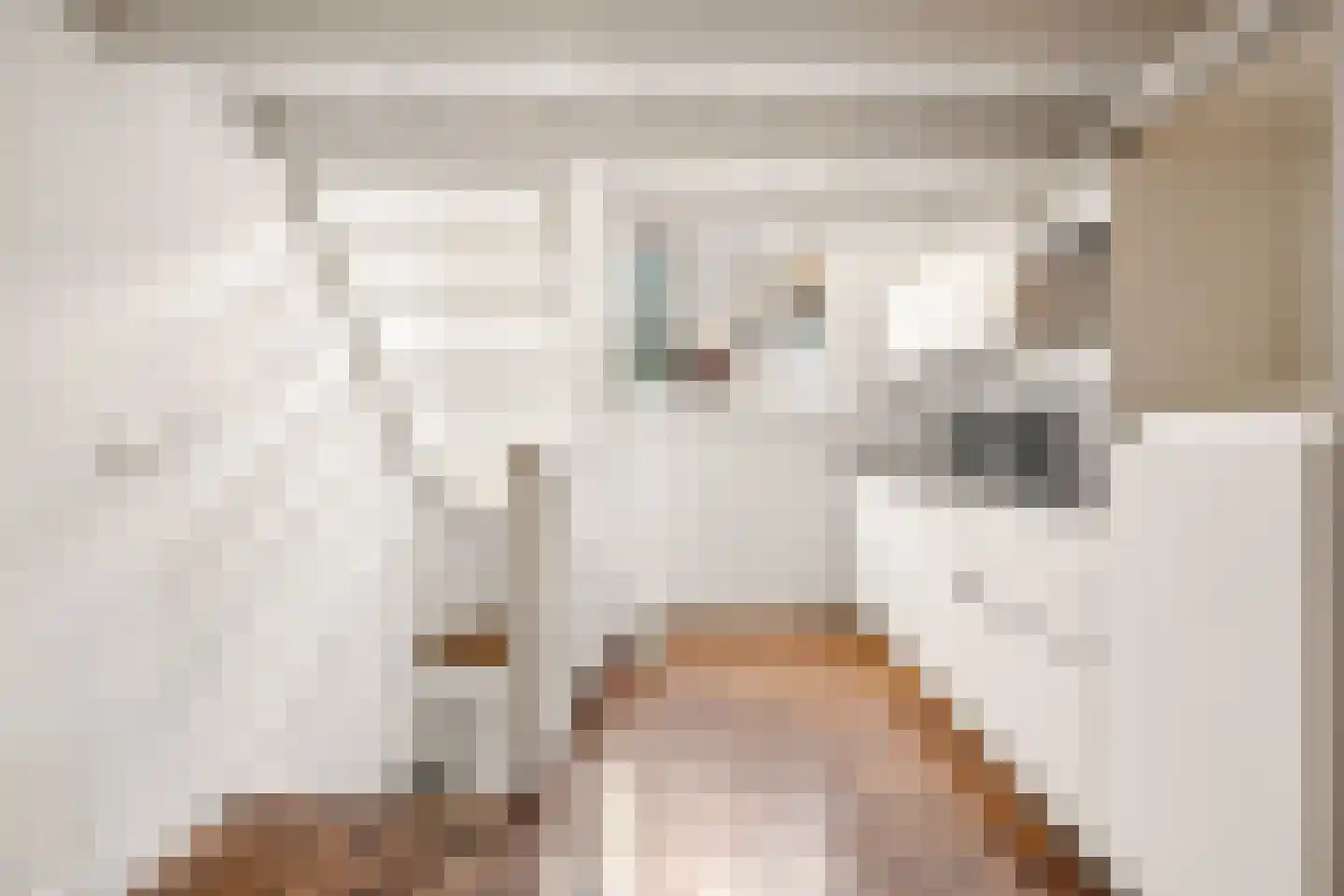 Kromme Jak 14 Zwolle thumbnail 12