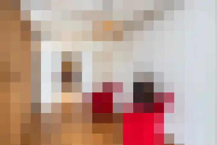 Kromme Jak 28 Zwolle thumbnail 10
