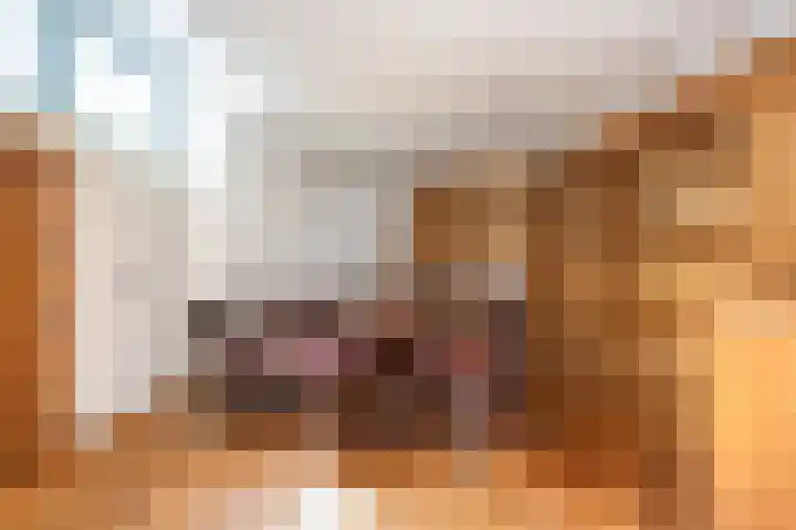 Kromme Jak 28 Zwolle thumbnail 11