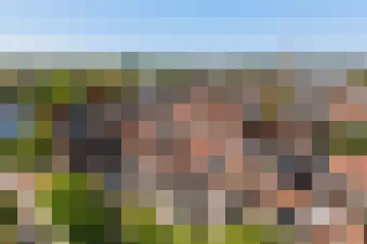 Kromme Jak 28 Zwolle foto 2