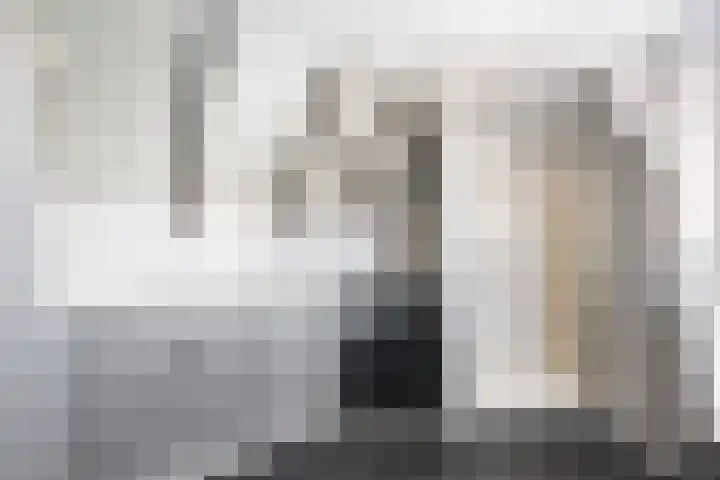 Kromme Jak 28 Zwolle thumbnail 28