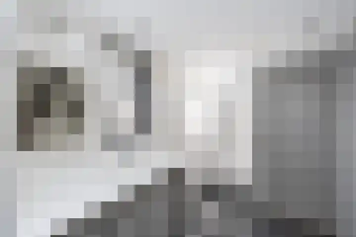 Kromme Jak 28 Zwolle thumbnail 30