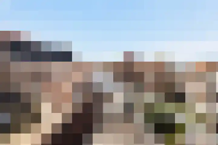 Kromme Jak 28 Zwolle thumbnail 31
