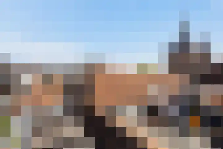 Kromme Jak 28 Zwolle thumbnail 32