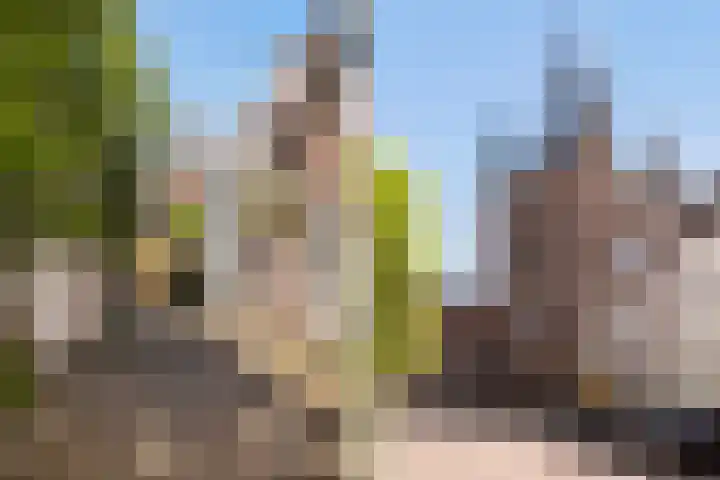 Kromme Jak 28 Zwolle thumbnail 34