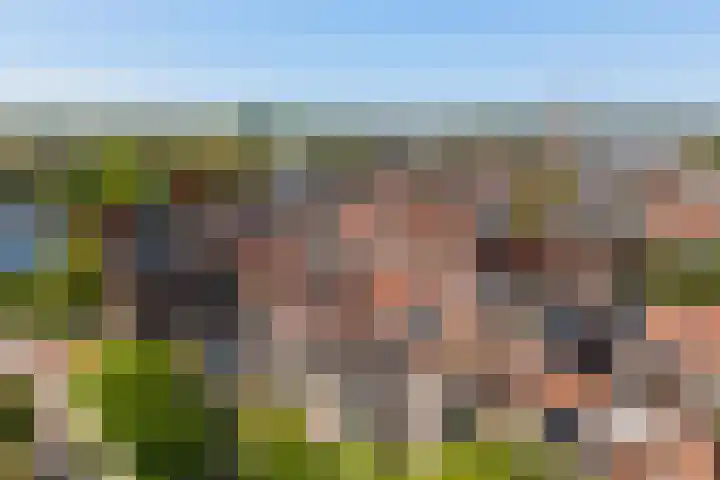 Kromme Jak 28 Zwolle thumbnail 35