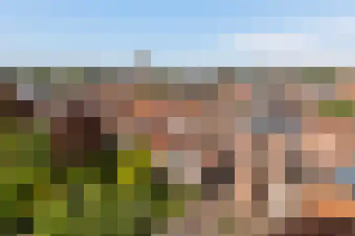 Kromme Jak 28 Zwolle thumbnail 36