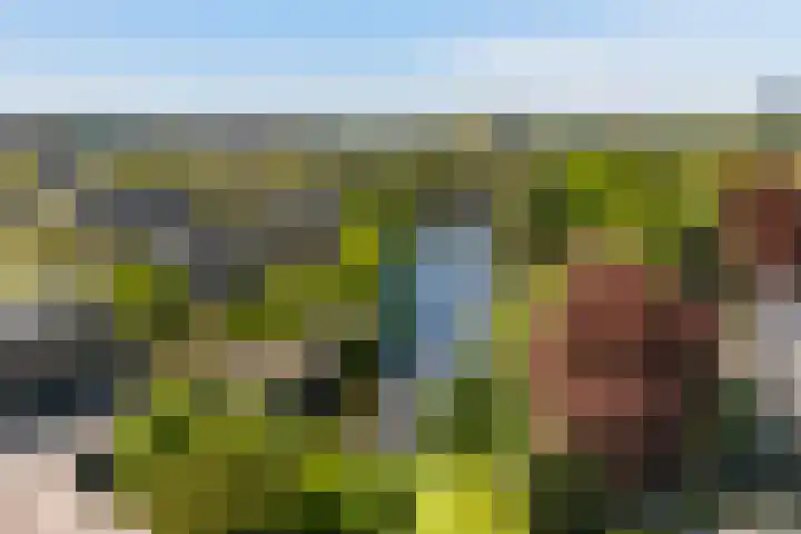 Kromme Jak 28 Zwolle thumbnail 39