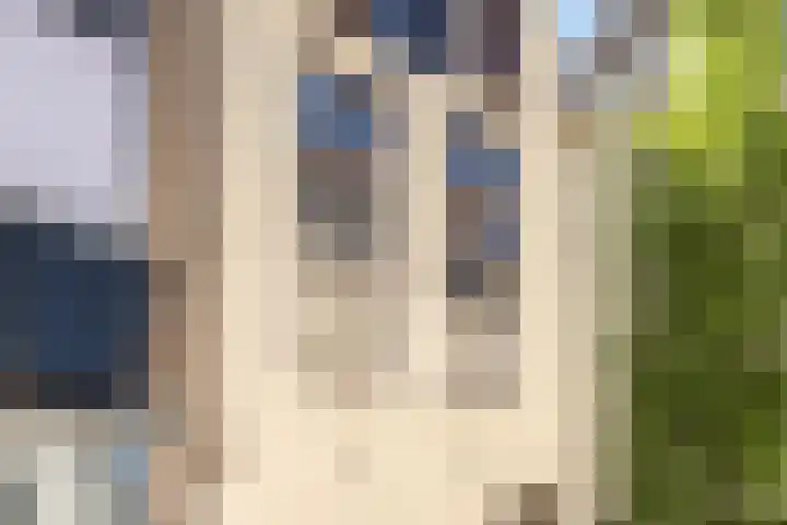 Kromme Jak 28 Zwolle thumbnail 40