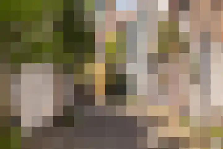 Kromme Jak 28 Zwolle thumbnail 5