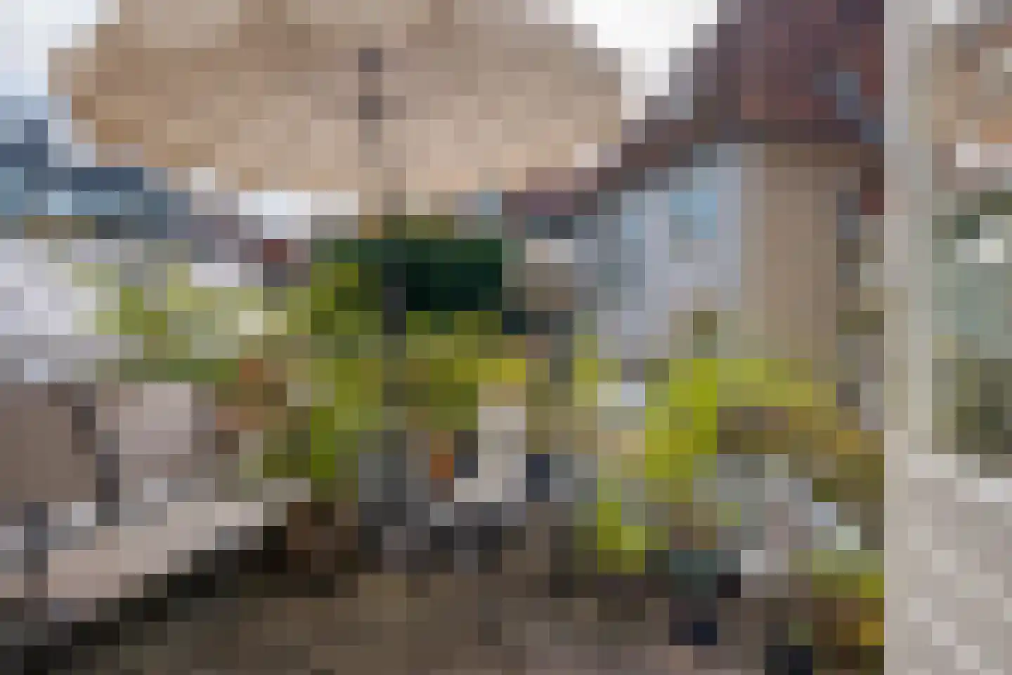 Kromme Jak 8 A Zwolle thumbnail 21