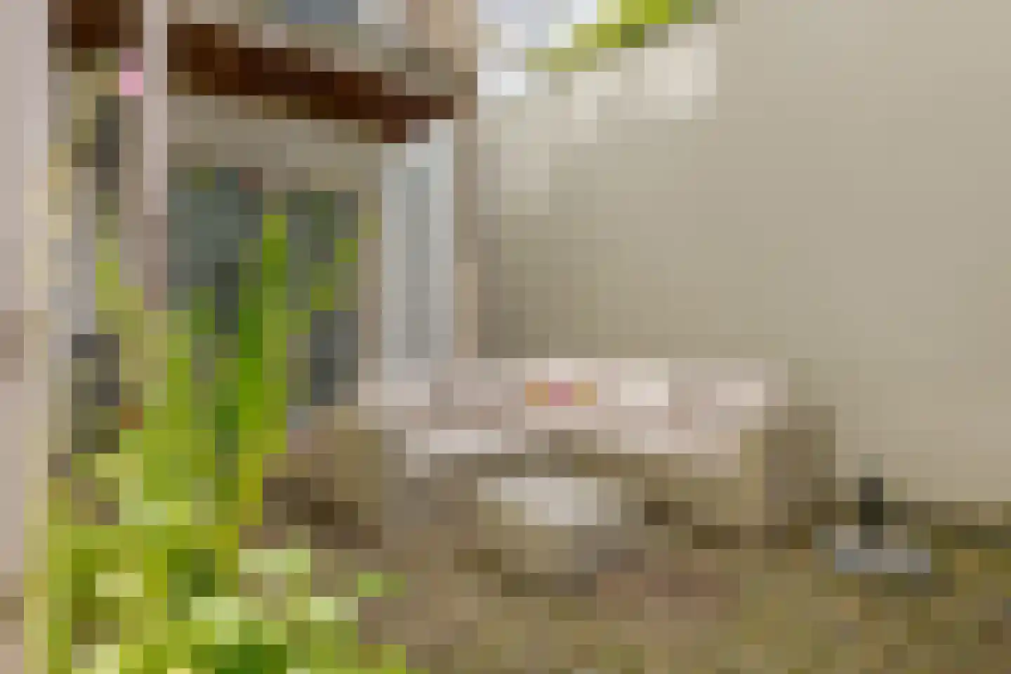 Kromme Jak 8 A Zwolle thumbnail 45