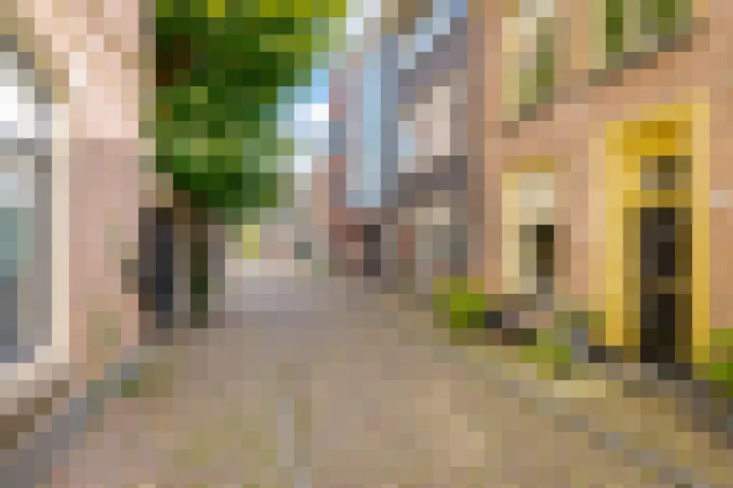 Kromme Jak 8 A Zwolle thumbnail 49