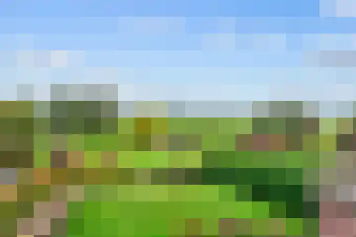 Kromme Mijdrecht 39 de Hoef thumbnail 31