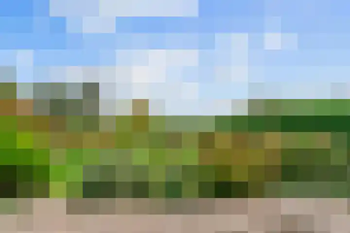 Kromme Mijdrecht 39 de Hoef thumbnail 36