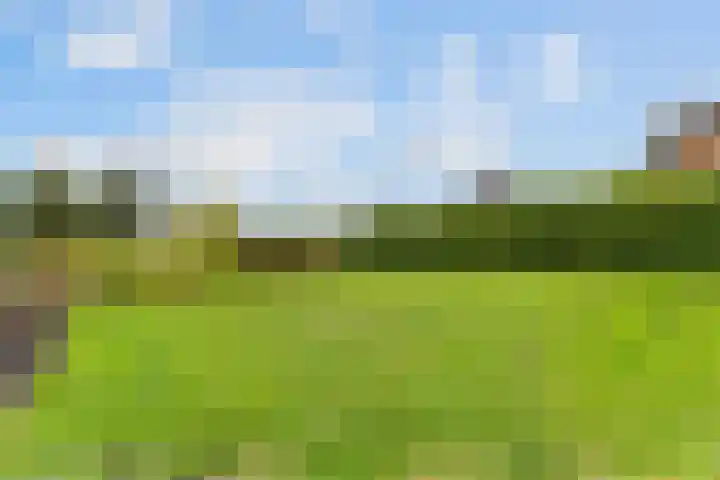 Kromme Mijdrecht 39 de Hoef thumbnail 37