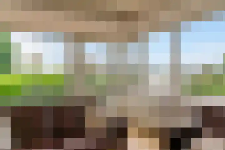 Kromme Mijdrecht 39 de Hoef thumbnail 6