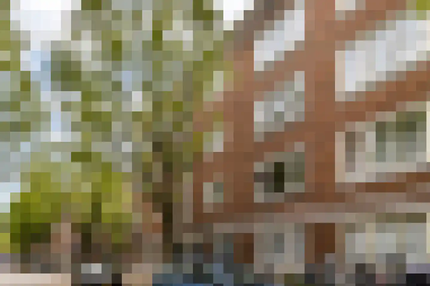 Kromme-Mijdrechtstraat 14 2 Amsterdam thumbnail 23