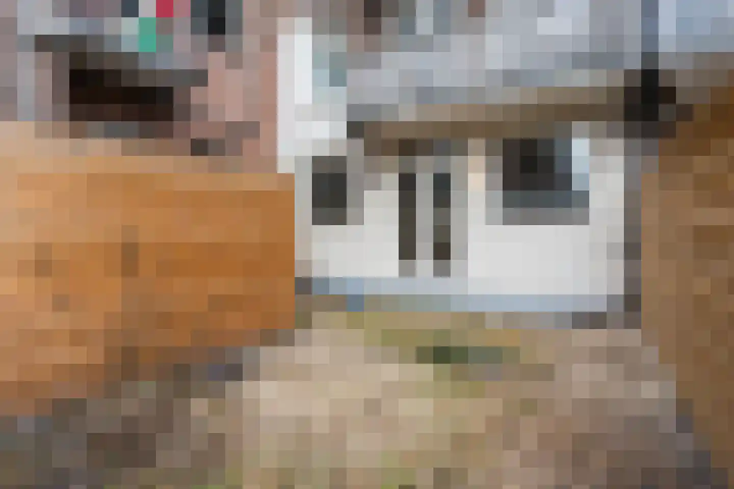 Kromme-Mijdrechtstraat 18 1 Amsterdam thumbnail 17