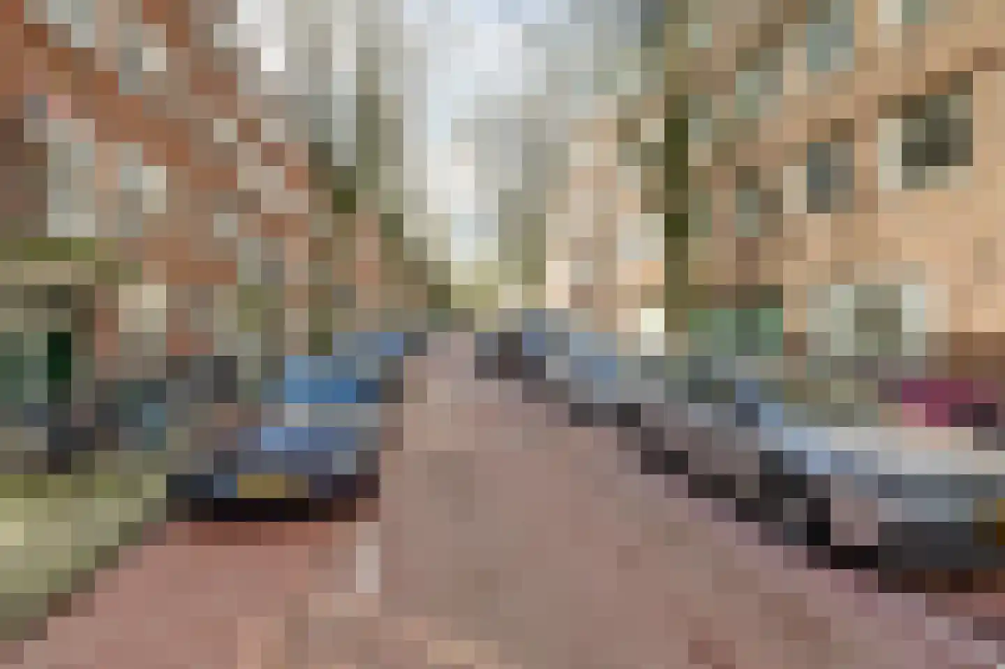 Kromme-Mijdrechtstraat 87 3 Amsterdam thumbnail 4