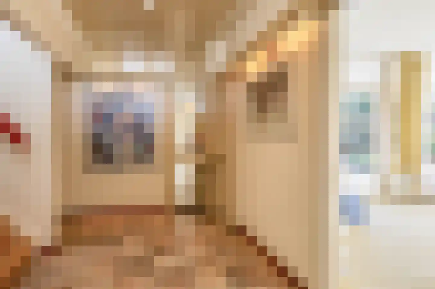 Kromme Molenweg 5 Eersel thumbnail 12