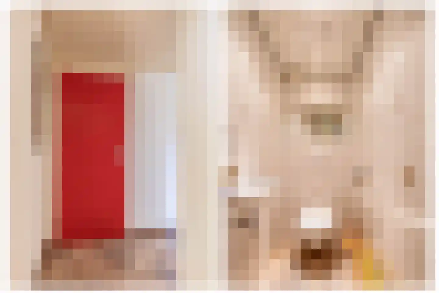 Kromme Molenweg 5 Eersel thumbnail 14