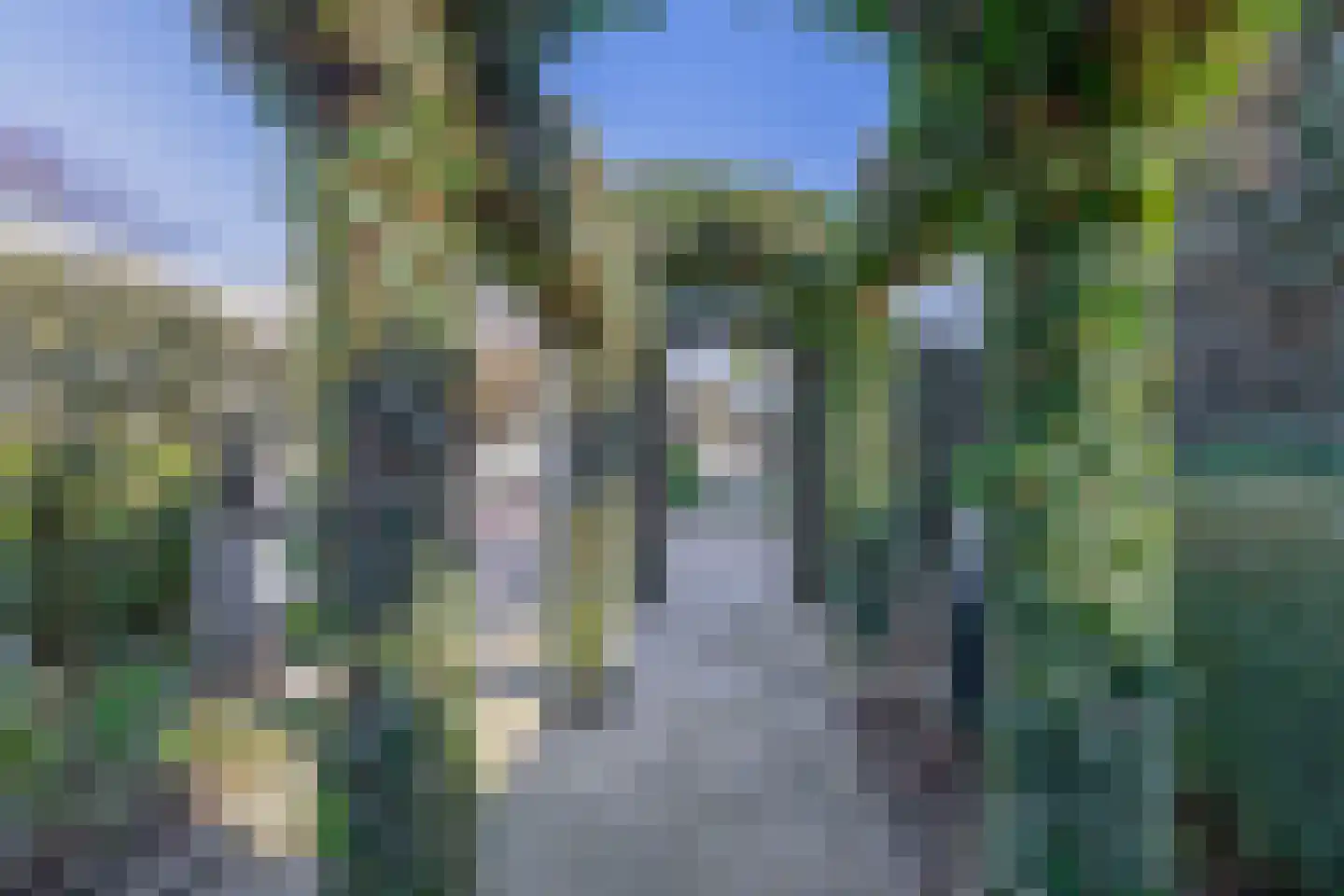 Kromme Molenweg 5 Eersel thumbnail 52