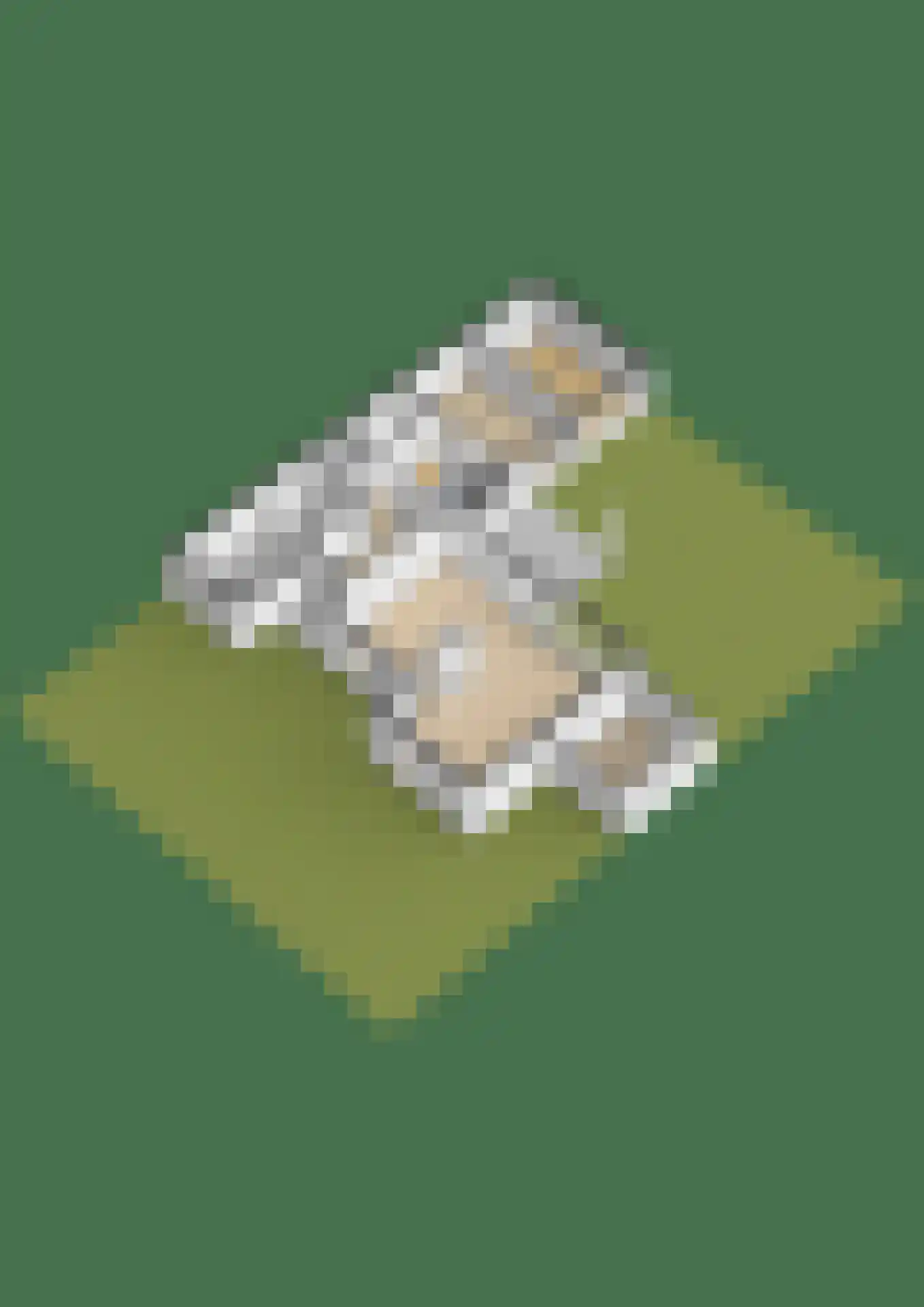 Kromme Molenweg 5 Eersel thumbnail 61