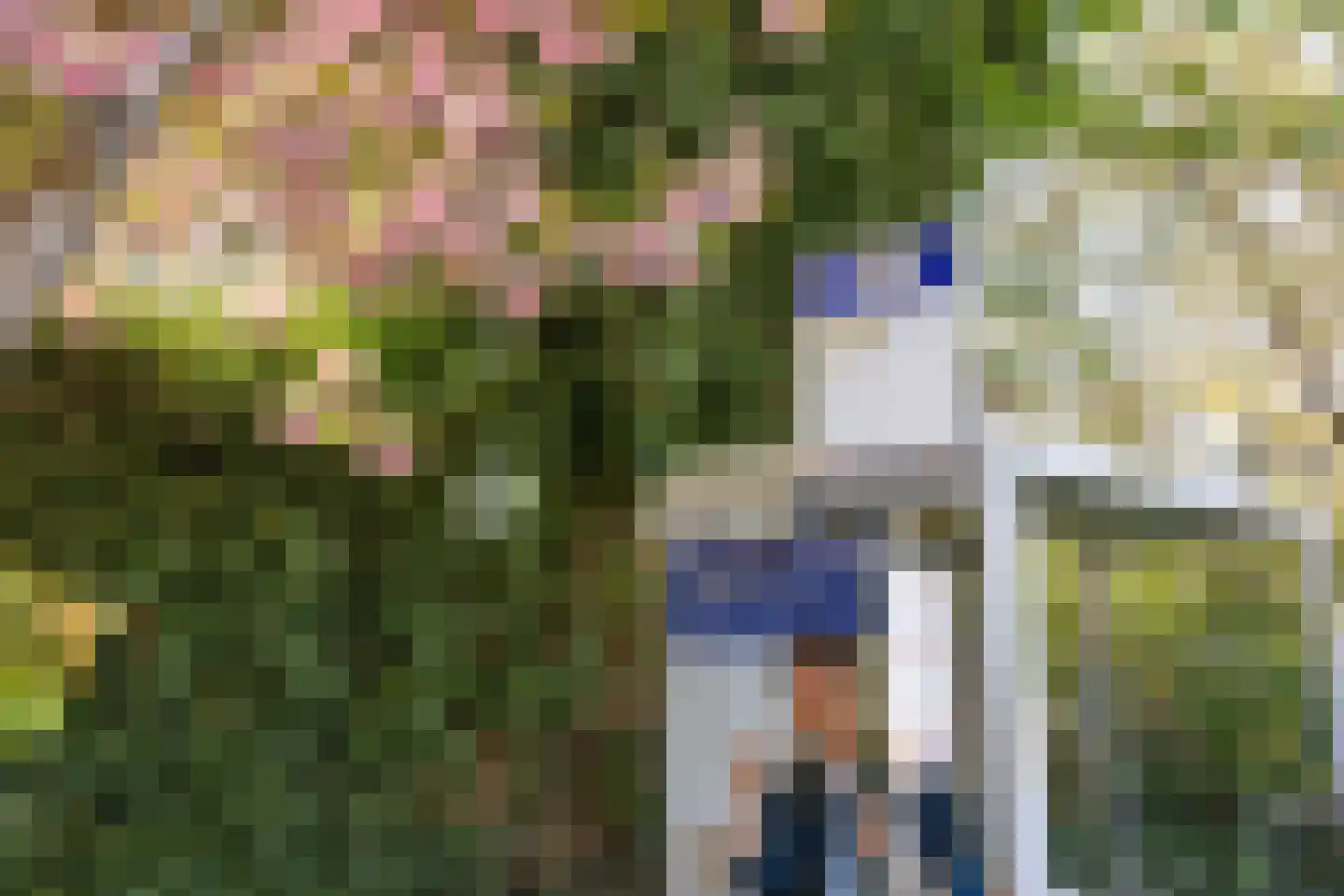 Kromme Nering 14 Heerjansdam thumbnail 31