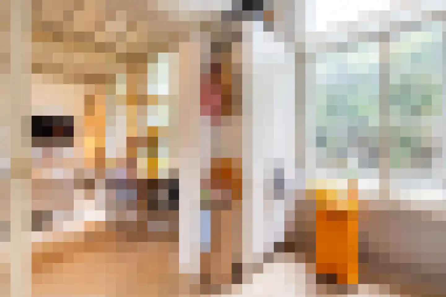 Kromme Nieuwegracht 33 A Utrecht thumbnail 21