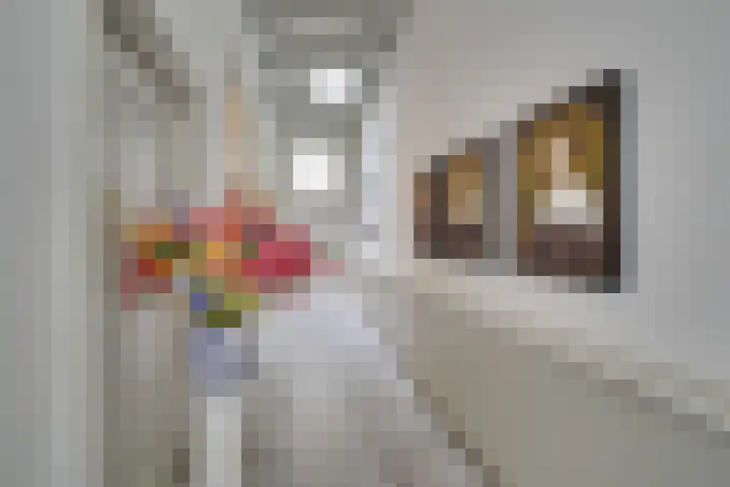 Kromme Nieuwegracht 33 E Utrecht thumbnail 40