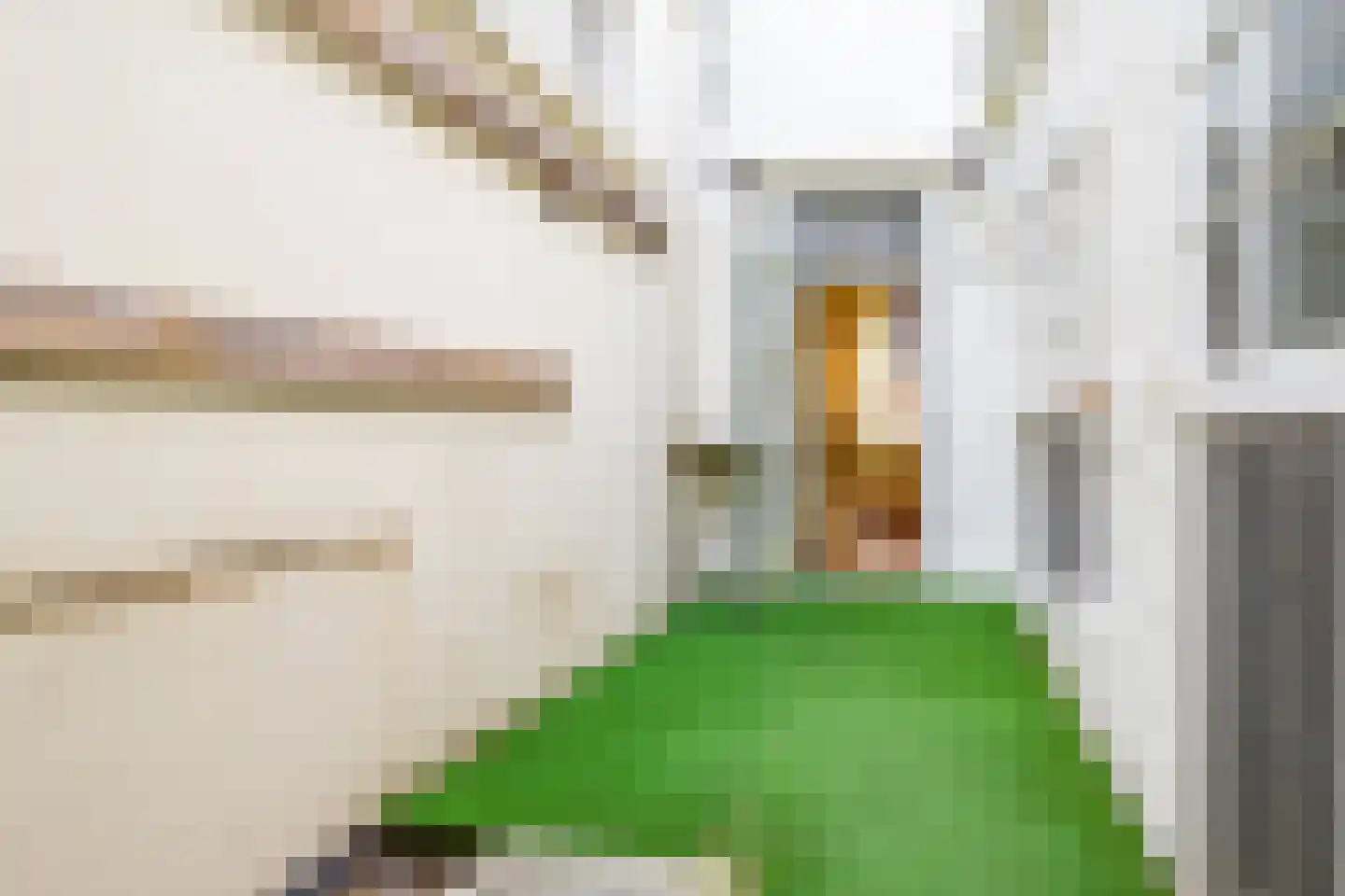 Kromme Nieuwegracht 33 E Utrecht thumbnail 44