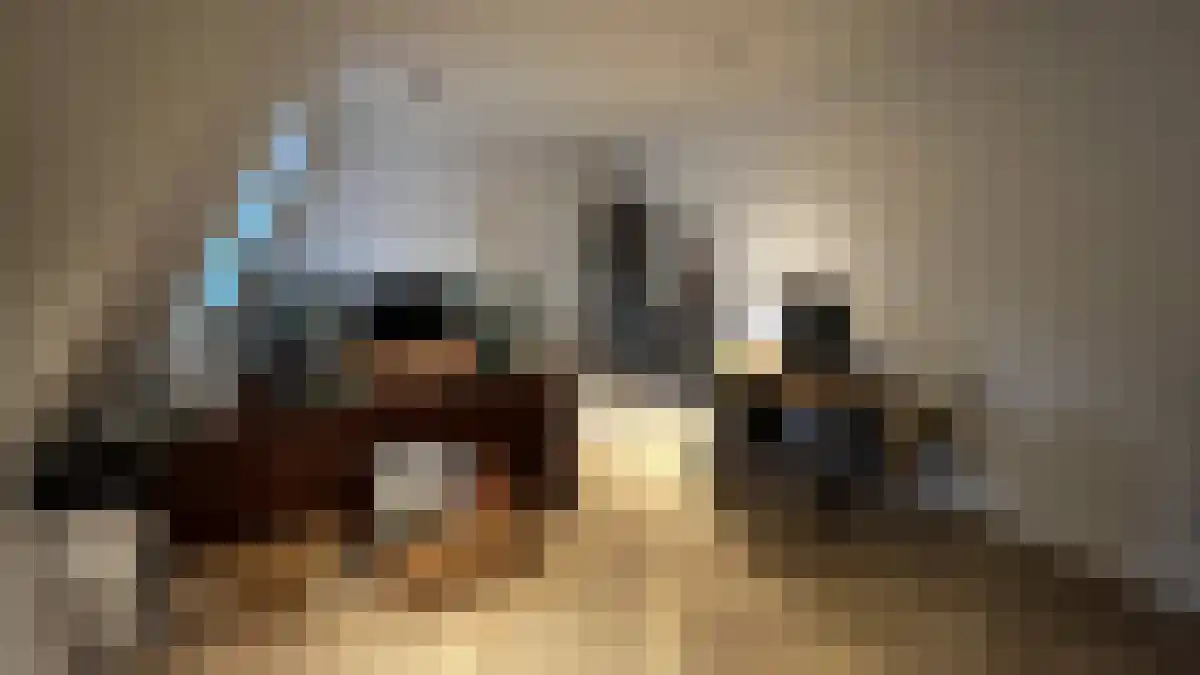 Kromme Nieuwegracht 39 9 Utrecht thumbnail 6