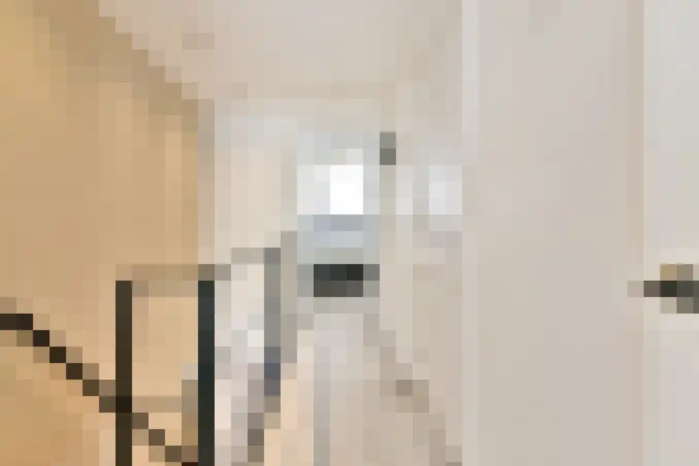 Kromme Palmstraat 7 Amsterdam thumbnail 15