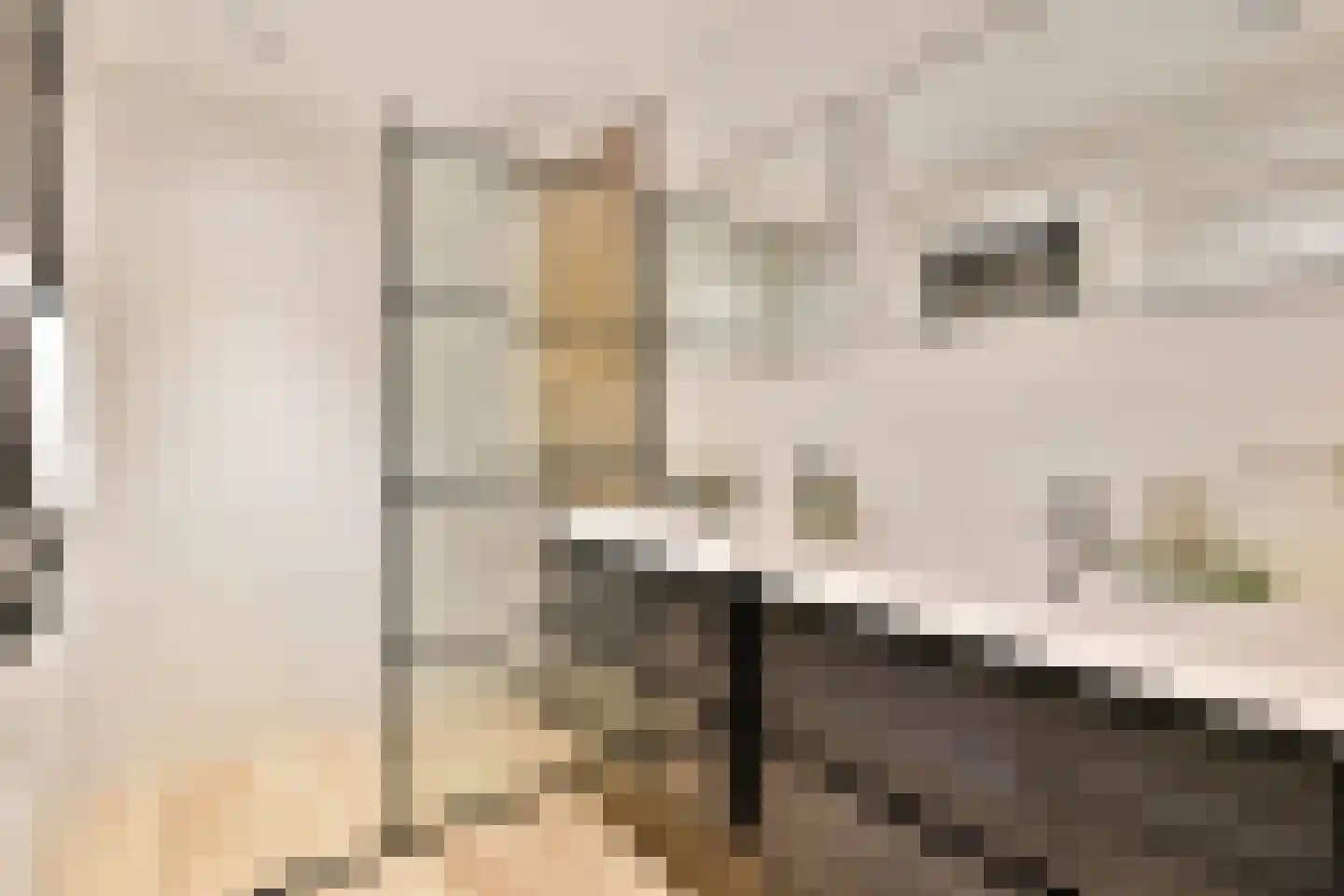 Kromme Palmstraat 7 Amsterdam thumbnail 18
