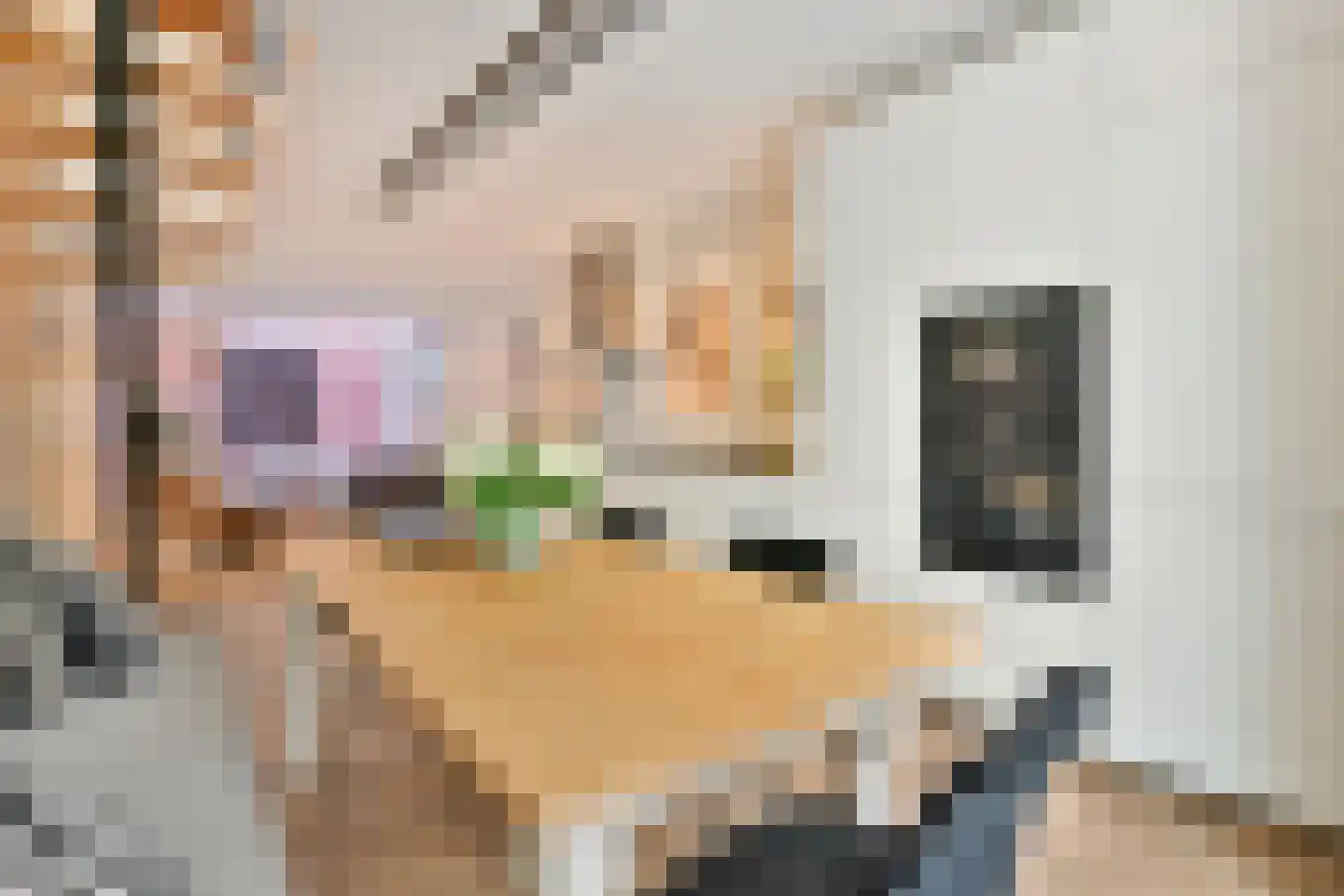 Kromme Palmstraat 7 Amsterdam thumbnail 8