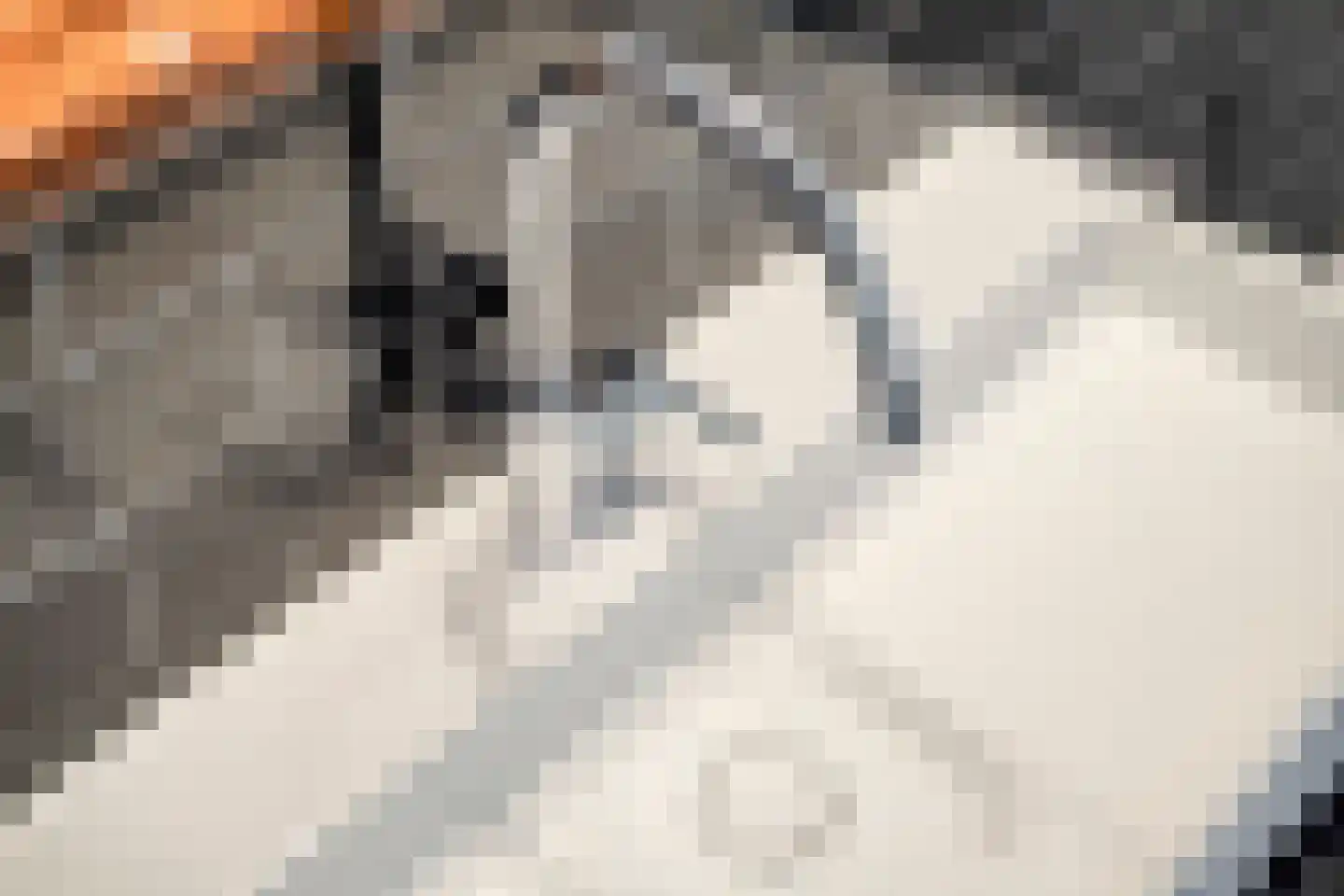 Kromme Reke 19 Renesse thumbnail 27