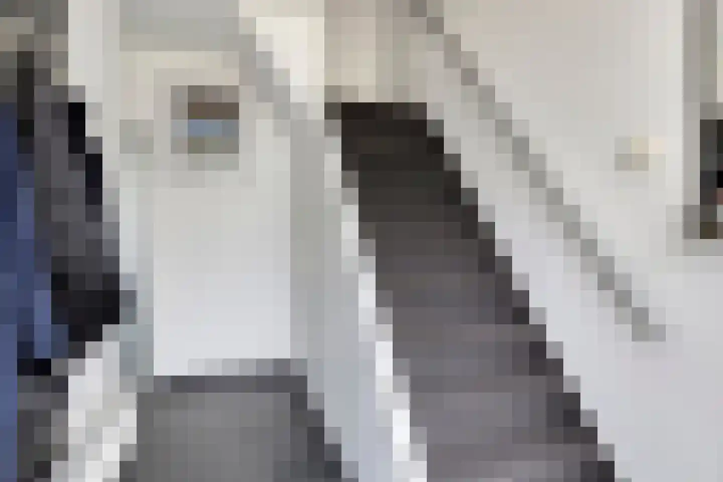 Kromme Reke 19 Renesse thumbnail 29