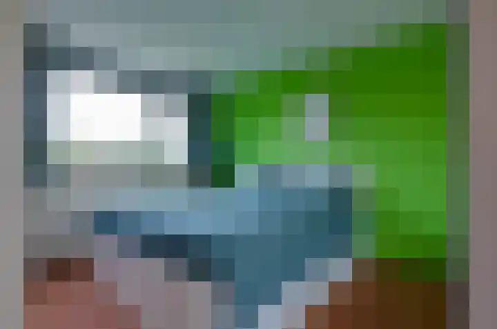 Kromme Riet 35 Groningen thumbnail 23