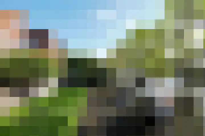 Kromme Riet 35 Groningen thumbnail 38