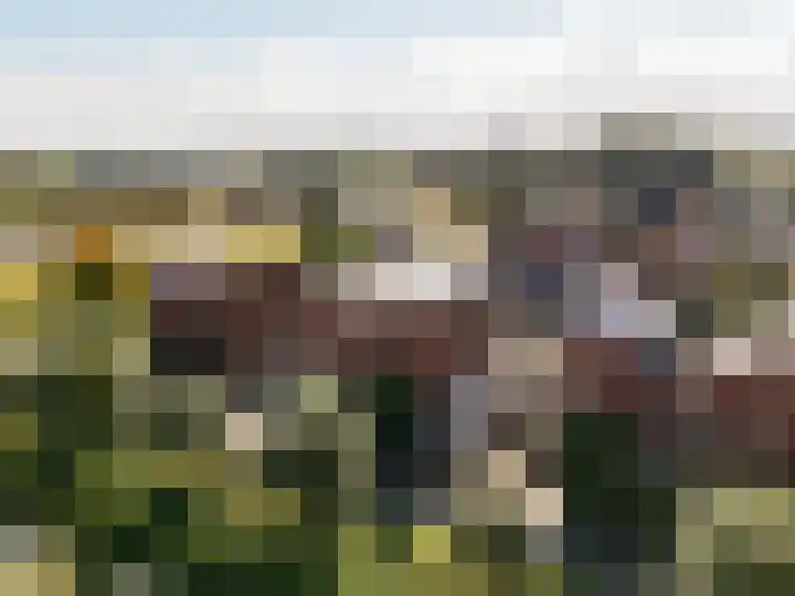 Kromme Riet 35 Groningen thumbnail 46