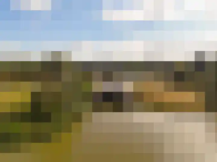 Kromme Riet 35 Groningen thumbnail 48