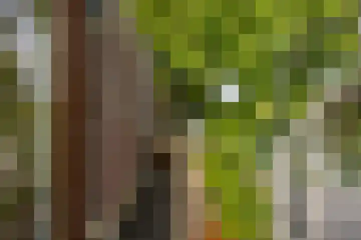 Kromme Riet 38 Groningen thumbnail 12