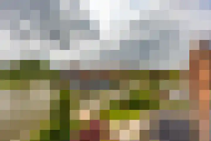 Kromme Riet 38 Groningen thumbnail 28