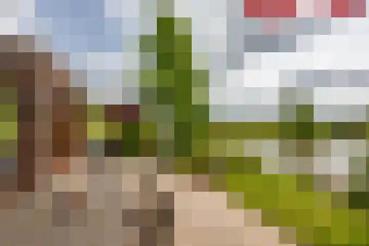 Kromme Riet 38 Groningen thumbnail 29