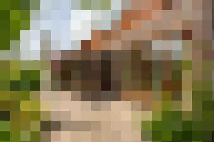 Kromme Riet 38 Groningen thumbnail 30